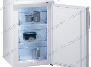 Холодильник Gorenje F4105W (170803, ZODS1026) - Фото